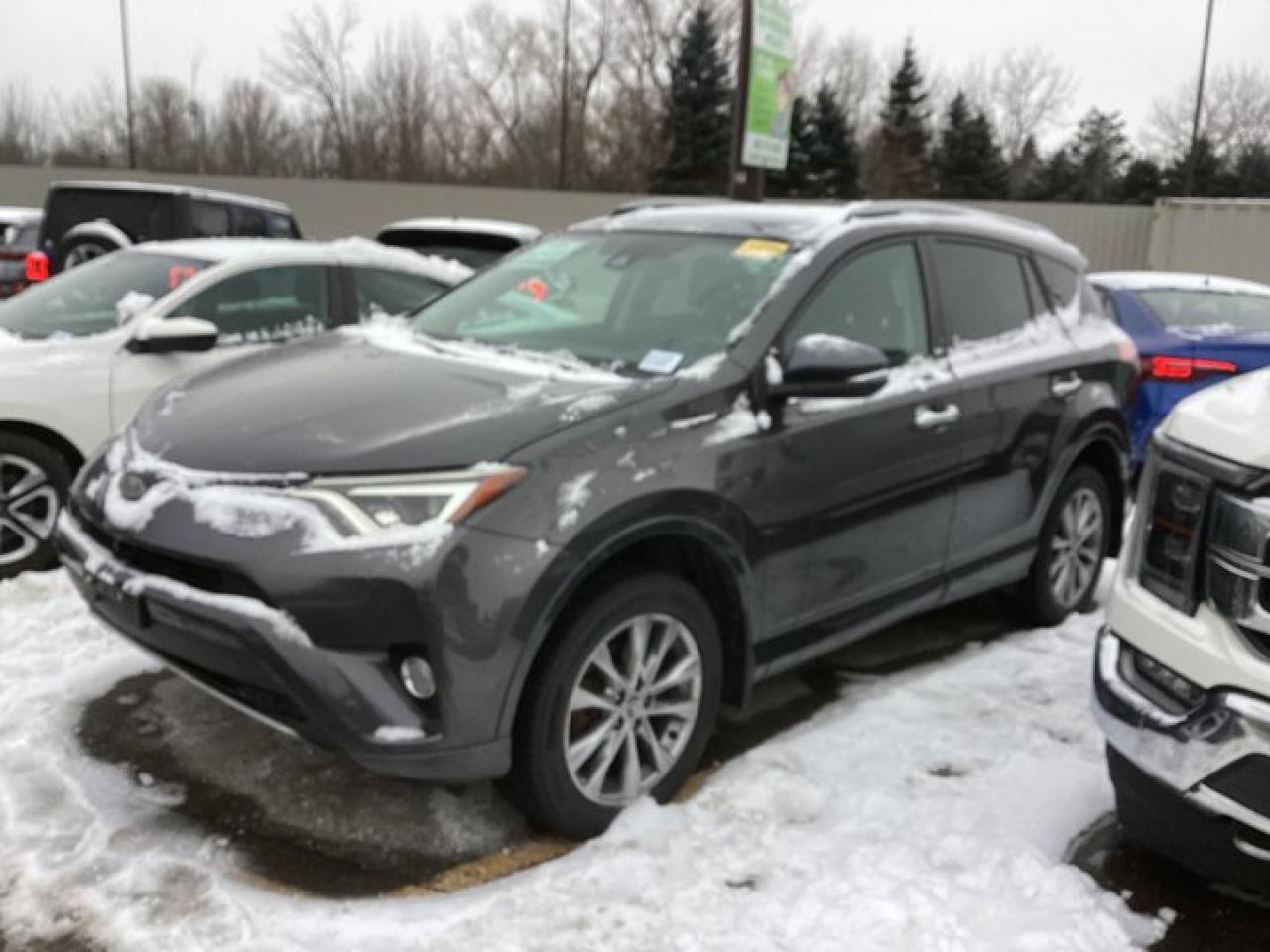 2017 Toyota RAV4 Limited Platnium AWD | Sunroof | Heated Seats | Leather Seats Photo0