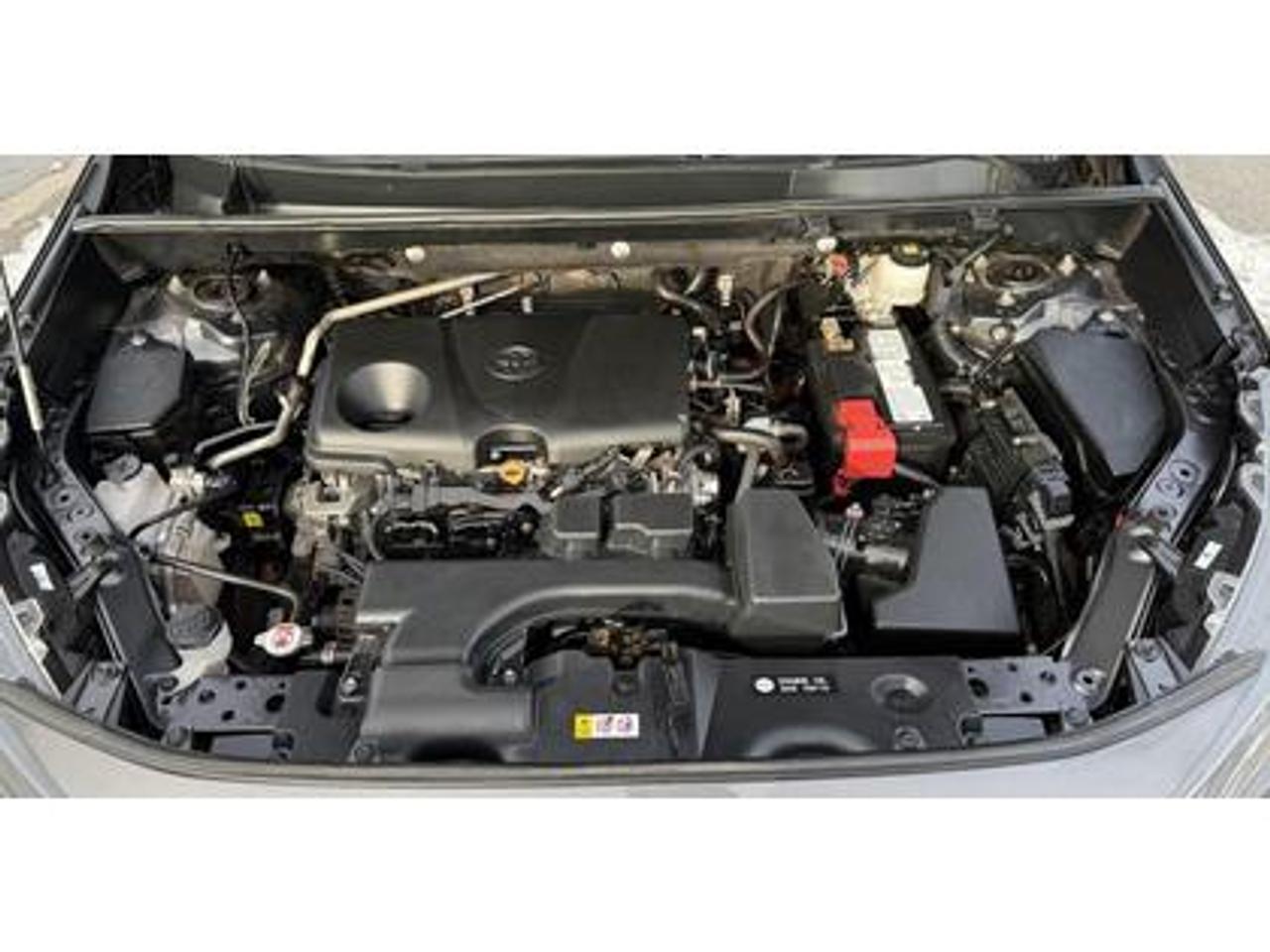 2022 Toyota RAV4 LE FWD Photo