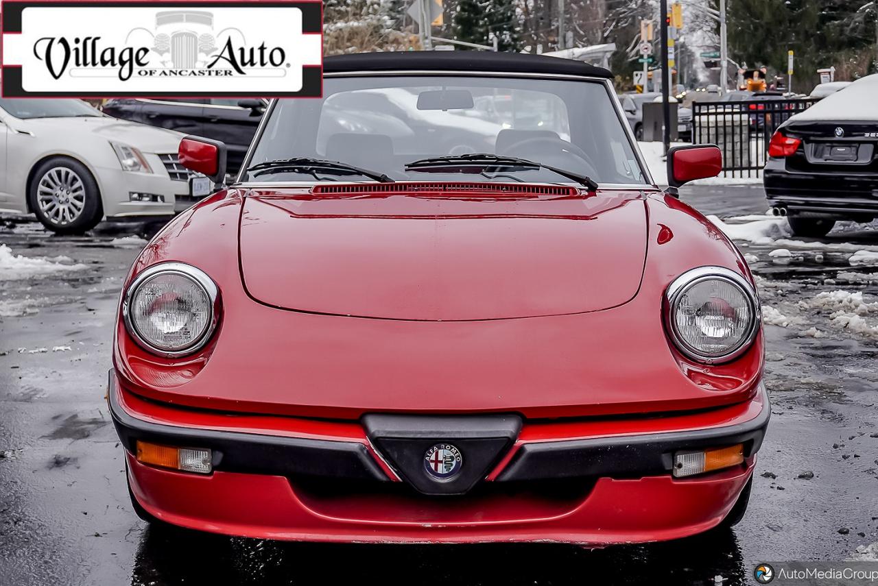 1987 Alfa Romeo Spider Quadrifoglio - Photo #10