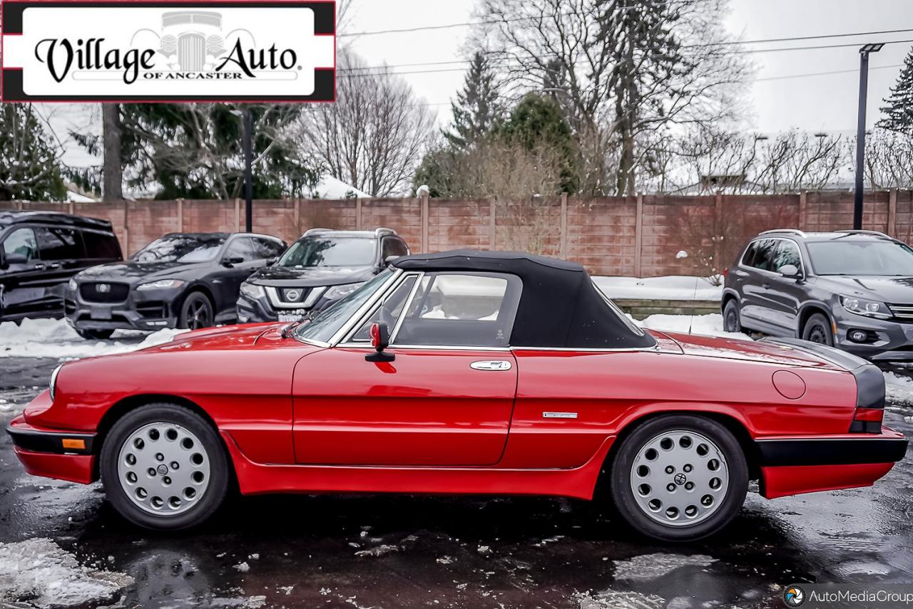 1987 Alfa Romeo Spider Quadrifoglio - Photo #8