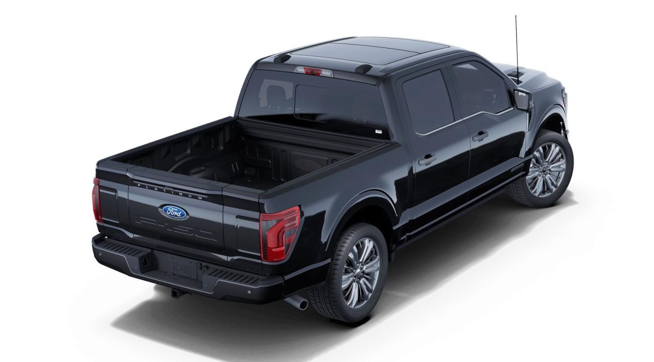 2025 Ford F-150 Platinum 4WD SuperCrew 5.5' Box Photo2