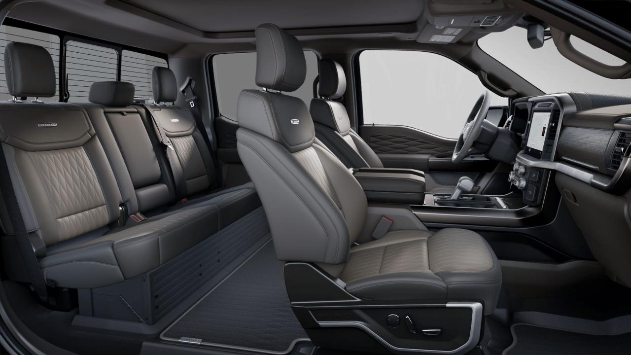 2025 Ford F-150 PLATINUM, 360 DEGREE CAMERA, PRO POWER Photo