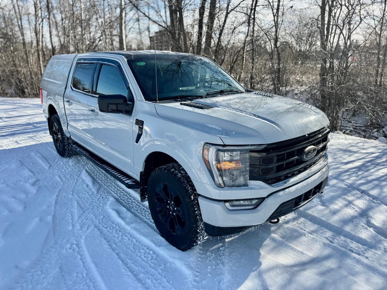 2023 Ford F-150 XLT Sport Package with Black Package 4WD w/ Cap - Photo #3