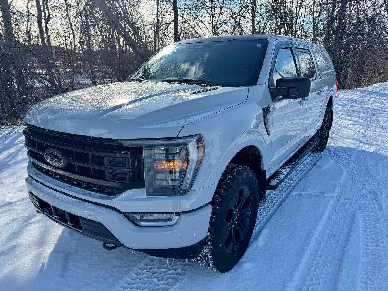 2023 Ford F-150 XLT Sport Package with Black Package 4WD w/ Cap - Photo #8