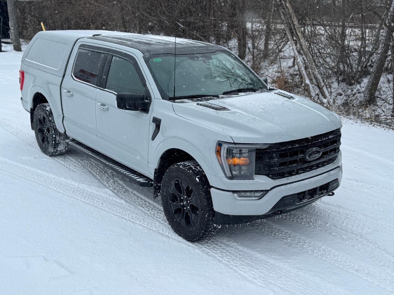2023 Ford F-150 XLT Sport Package with Black Package 4WD w/ Cap - Photo #29