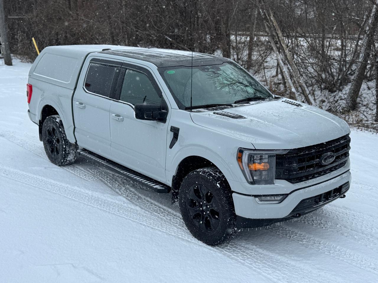 2023 Ford F-150 XLT Sport Package with Black Package 4WD w/ Cap - Photo #28