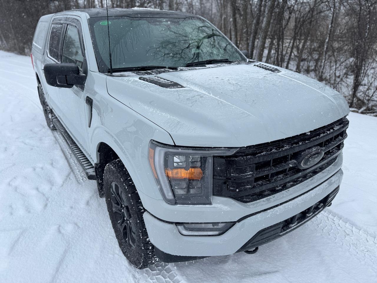 2023 Ford F-150 XLT Sport Package with Black Package 4WD w/ Cap - Photo #23