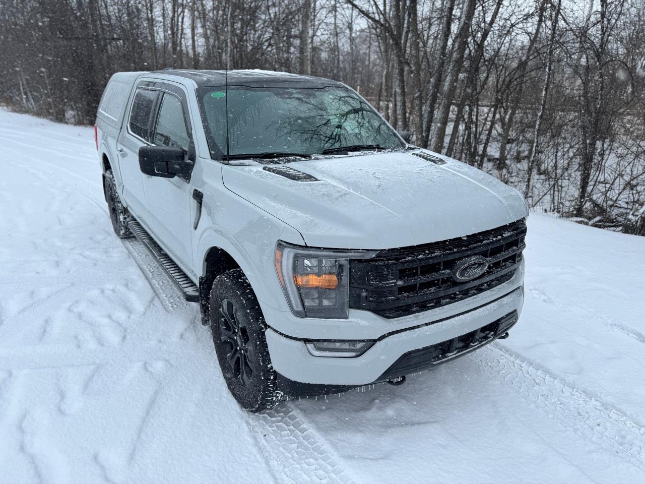 2023 Ford F-150 XLT Sport Package with Black Package 4WD w/ Cap - Photo #21