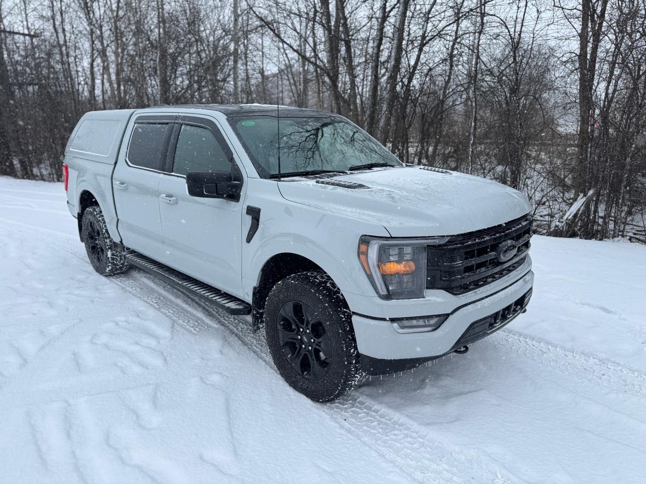 2023 Ford F-150 XLT Sport Package with Black Package 4WD w/ Cap - Photo #19