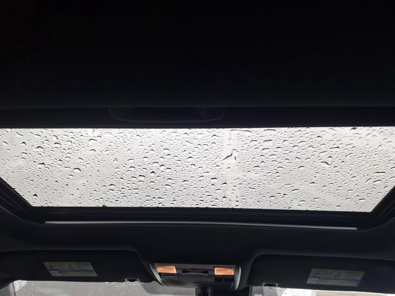 2022 Toyota Tacoma Nightshade | Leather | Sunroof | JBL | 360 Camera | BSM | Radar Cruise | and More ! Photo