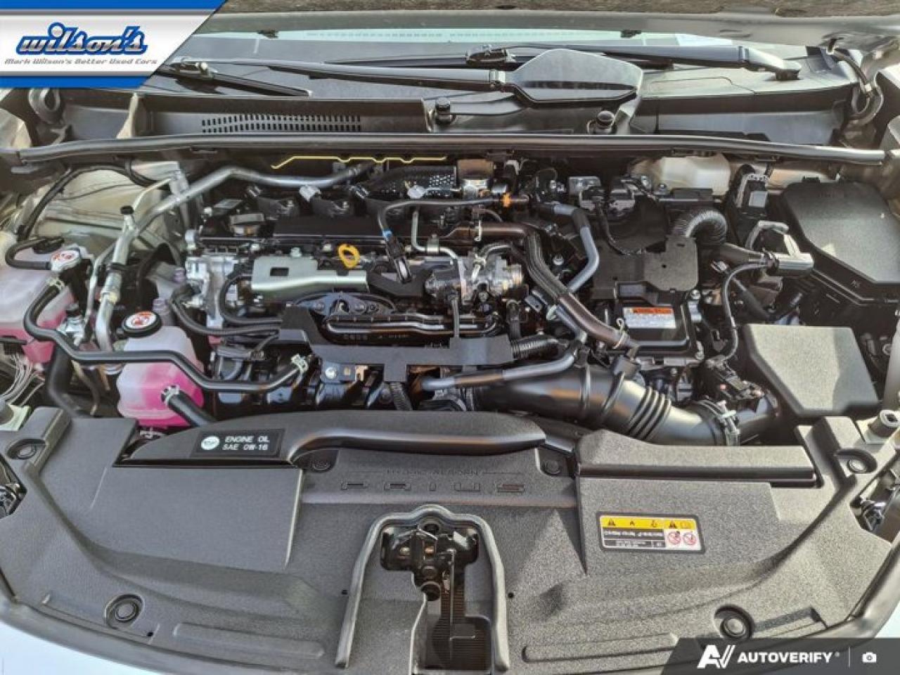 2023 Toyota Prius Limited Hybrid | Leather | Sunroof | Heated + Vented Seats | Birds Eye Camera | JBL Audio | Photo