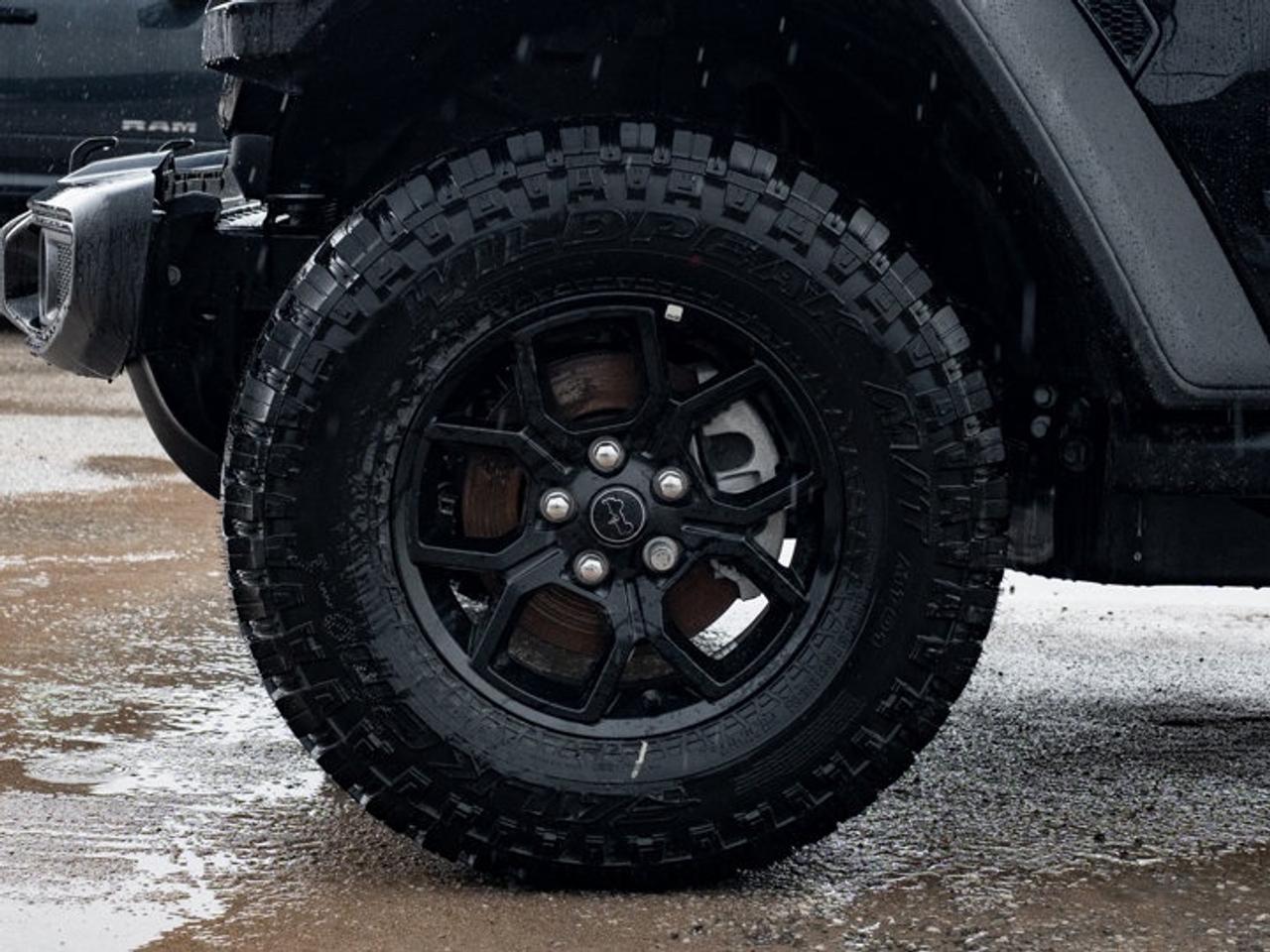 2026 Jeep Wrangler Willys Photo