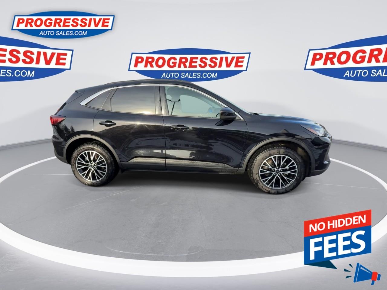 2024 Ford Escape PHEV Photo