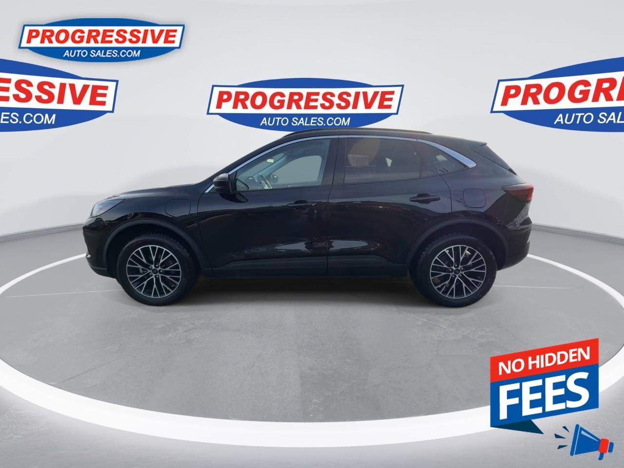 2024 Ford Escape PHEV Photo