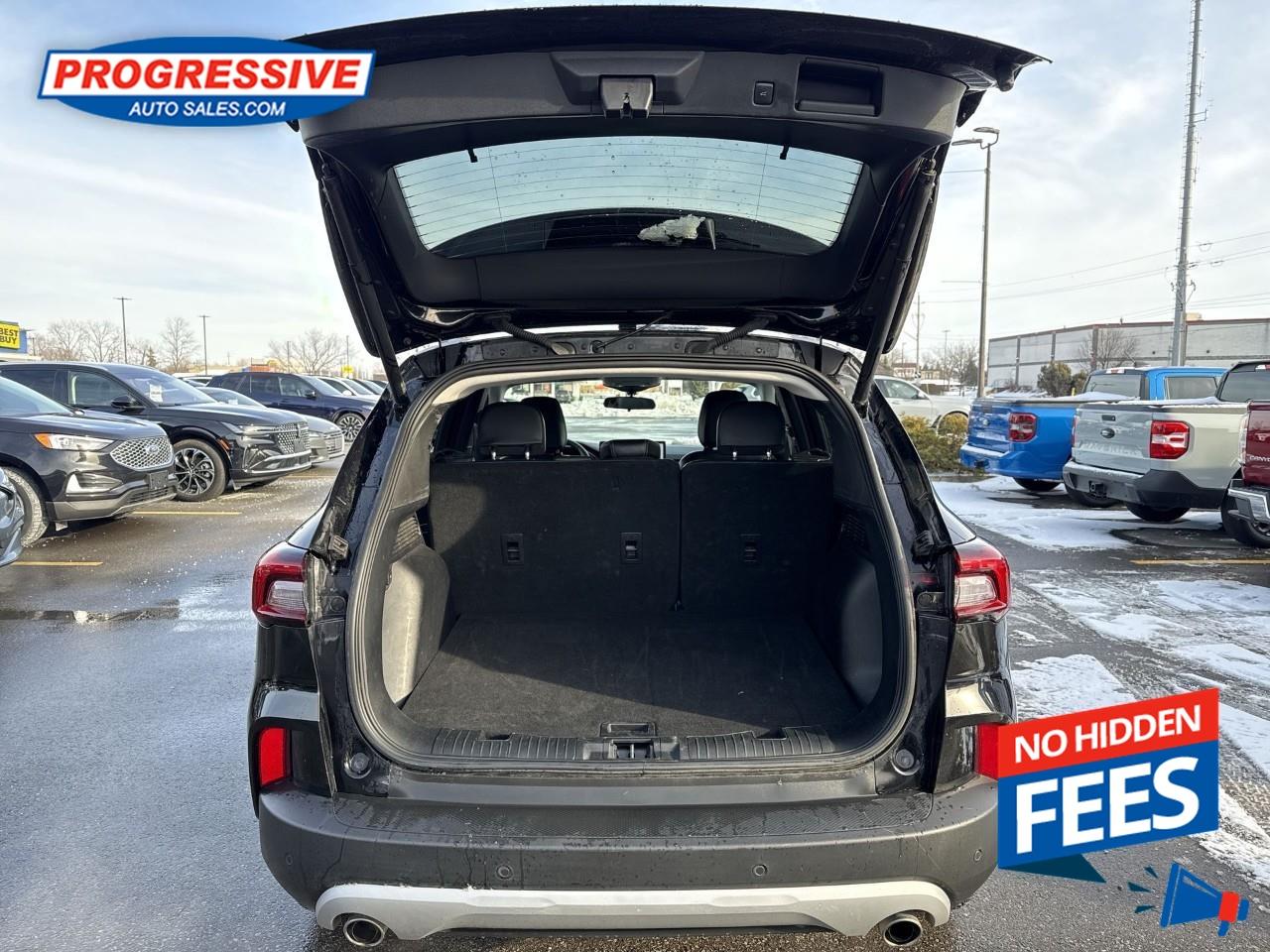 2024 Ford Escape PHEV Photo