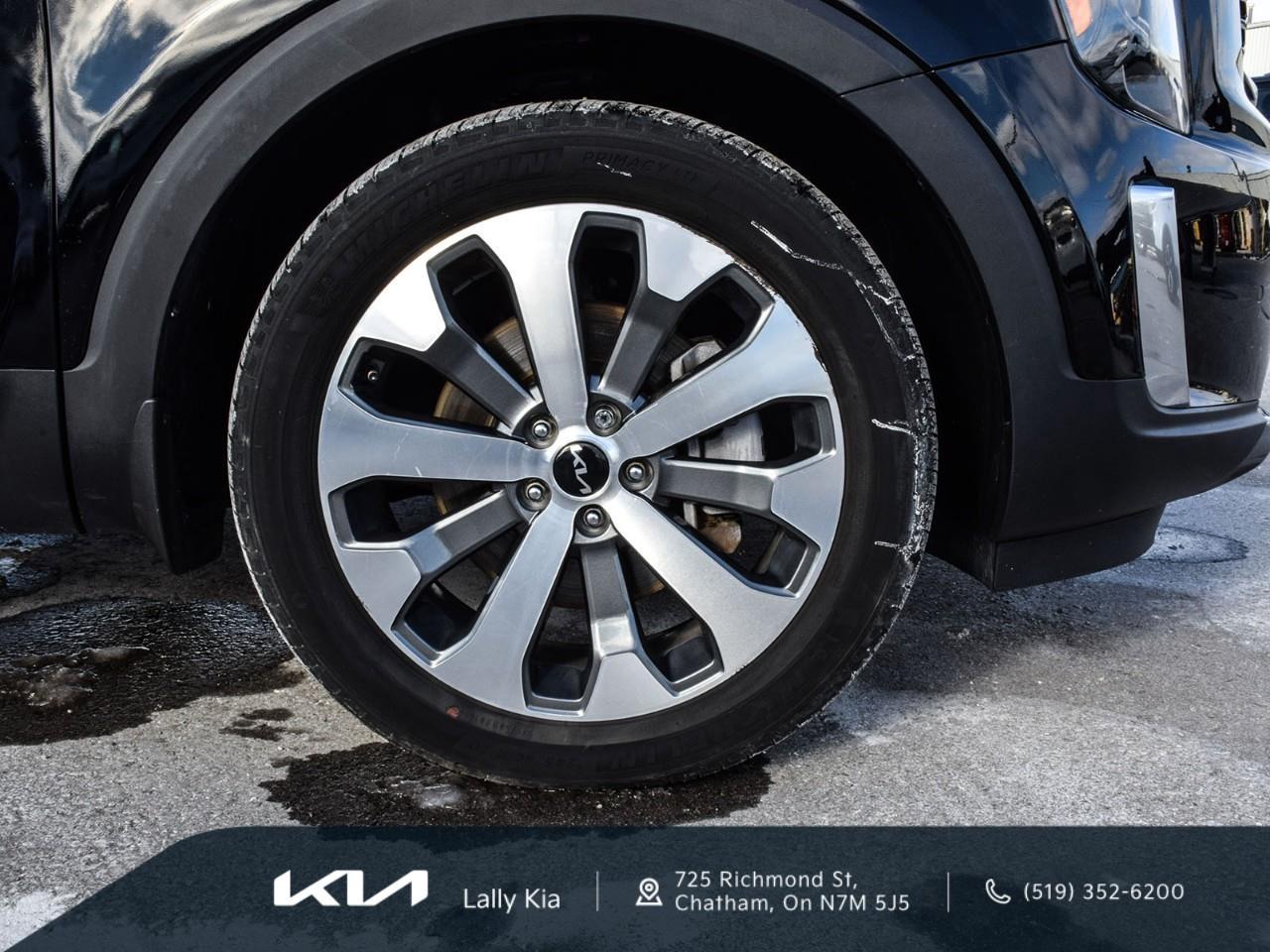 2022 Kia Telluride Nightsky New Arrival | Low KMs | Clean CarFax | Leather | Roof Photo