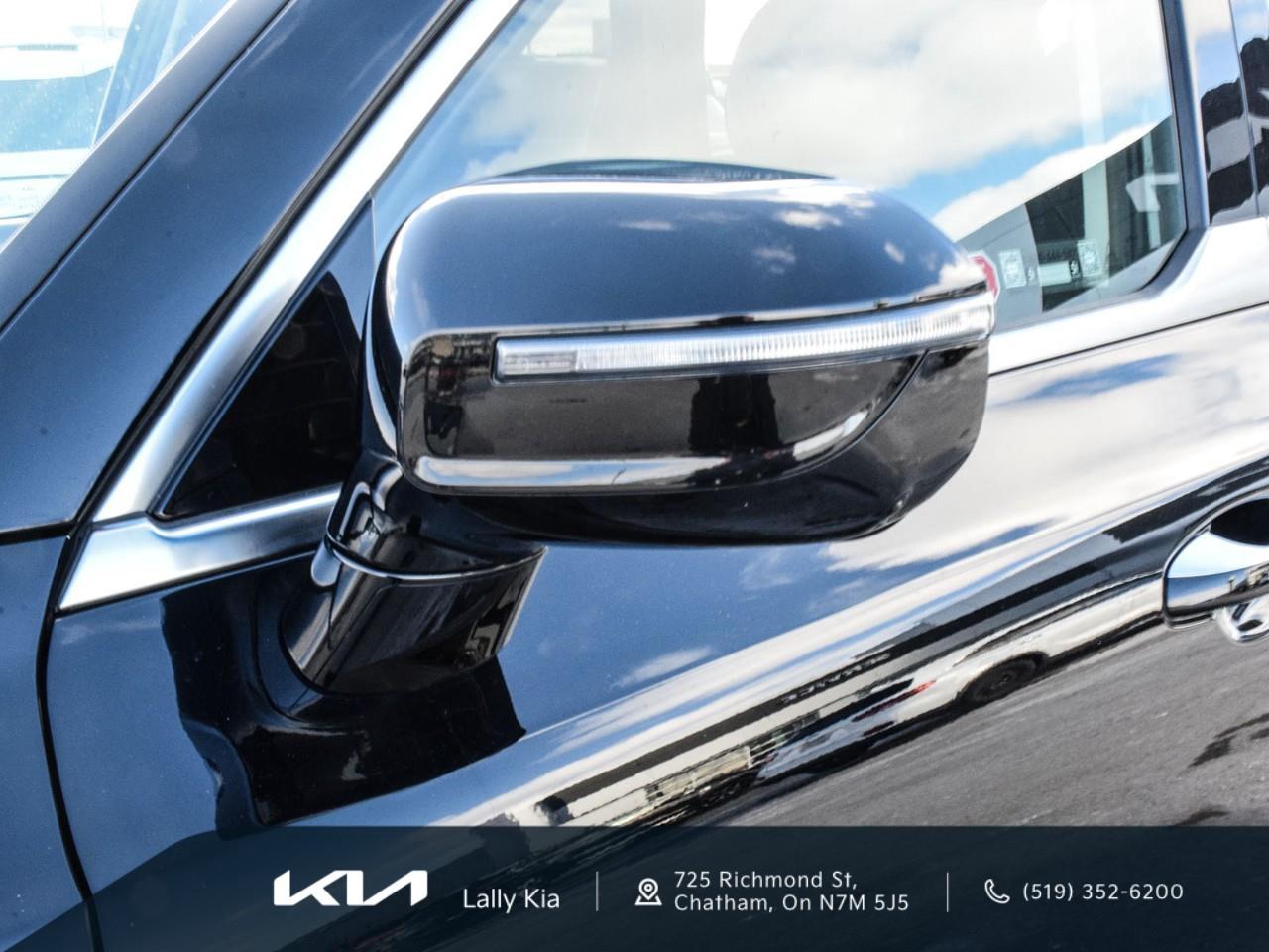 2022 Kia Telluride Nightsky New Arrival | Low KMs | Clean CarFax | Leather | Roof Photo