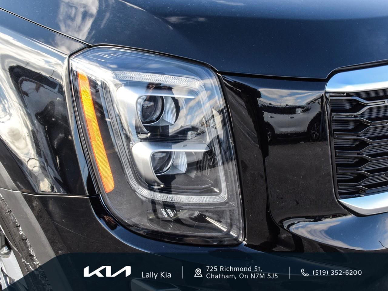 2022 Kia Telluride Nightsky New Arrival | Low KMs | Clean CarFax | Leather | Roof Photo