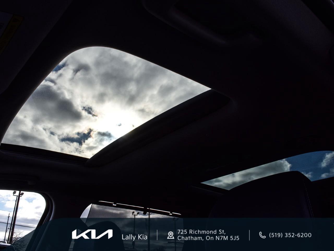 2022 Kia Telluride Nightsky New Arrival | Low KMs | Clean CarFax | Leather | Roof Photo