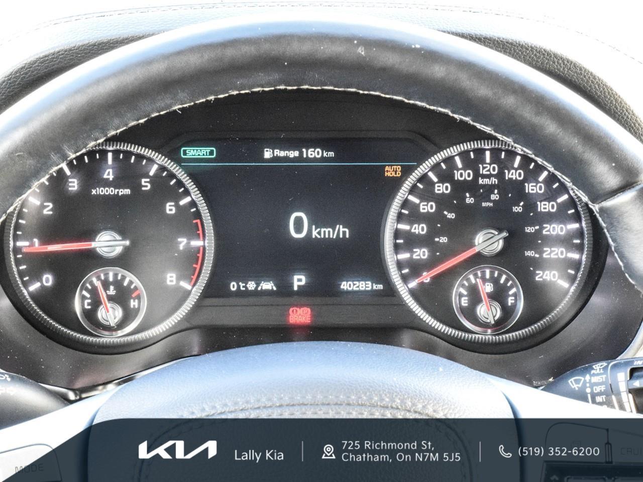 2022 Kia Telluride Nightsky New Arrival | Low KMs | Clean CarFax | Leather | Roof Photo