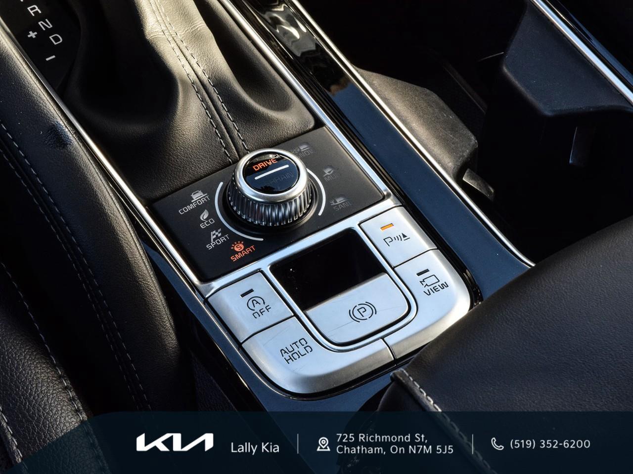 2022 Kia Telluride Nightsky New Arrival | Low KMs | Clean CarFax | Leather | Roof Photo