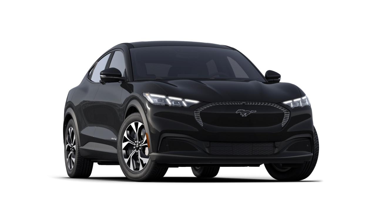 2025 Ford Mustang Mach-E SELECT AWD Standard Range Battery Photo3
