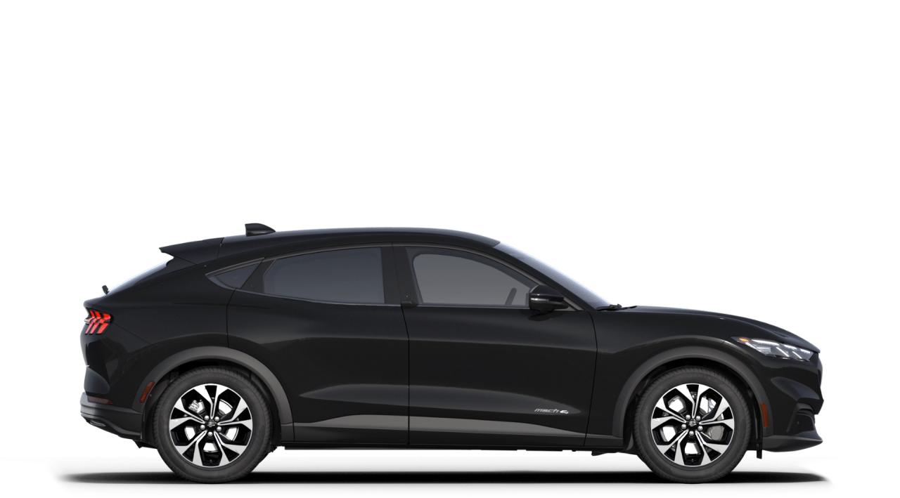 2025 Ford Mustang Mach-E SELECT AWD Standard Range Battery Photo5