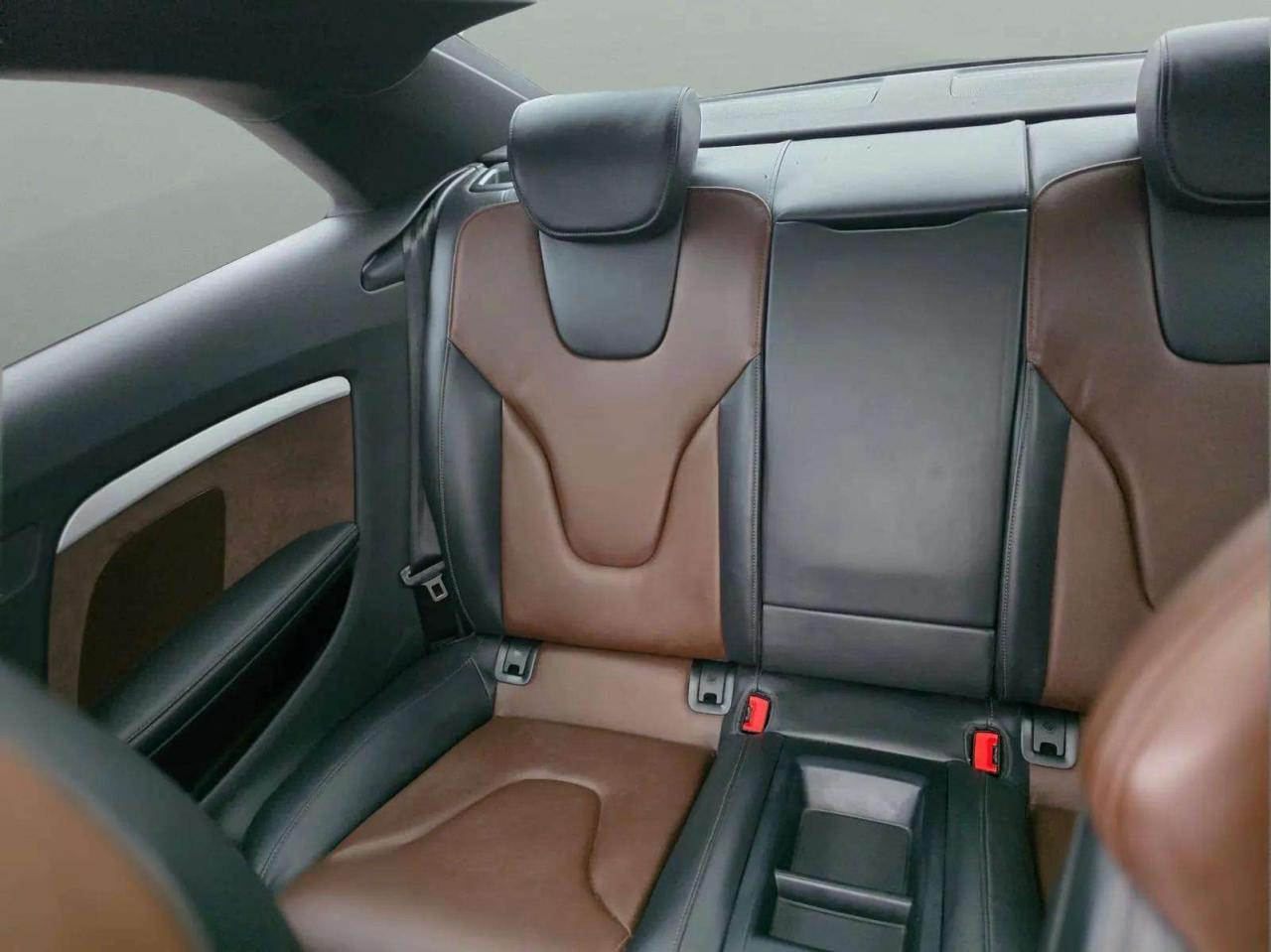 2016 Audi S5 2dr Cpe Auto Progressiv plus Photo