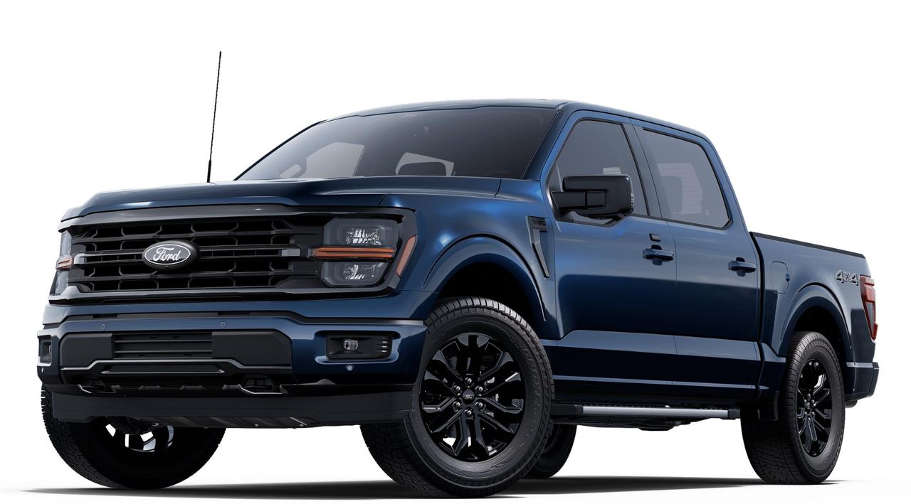 2025 Ford F-150 XLT 4WD SuperCrew 5.5' Box Photo0