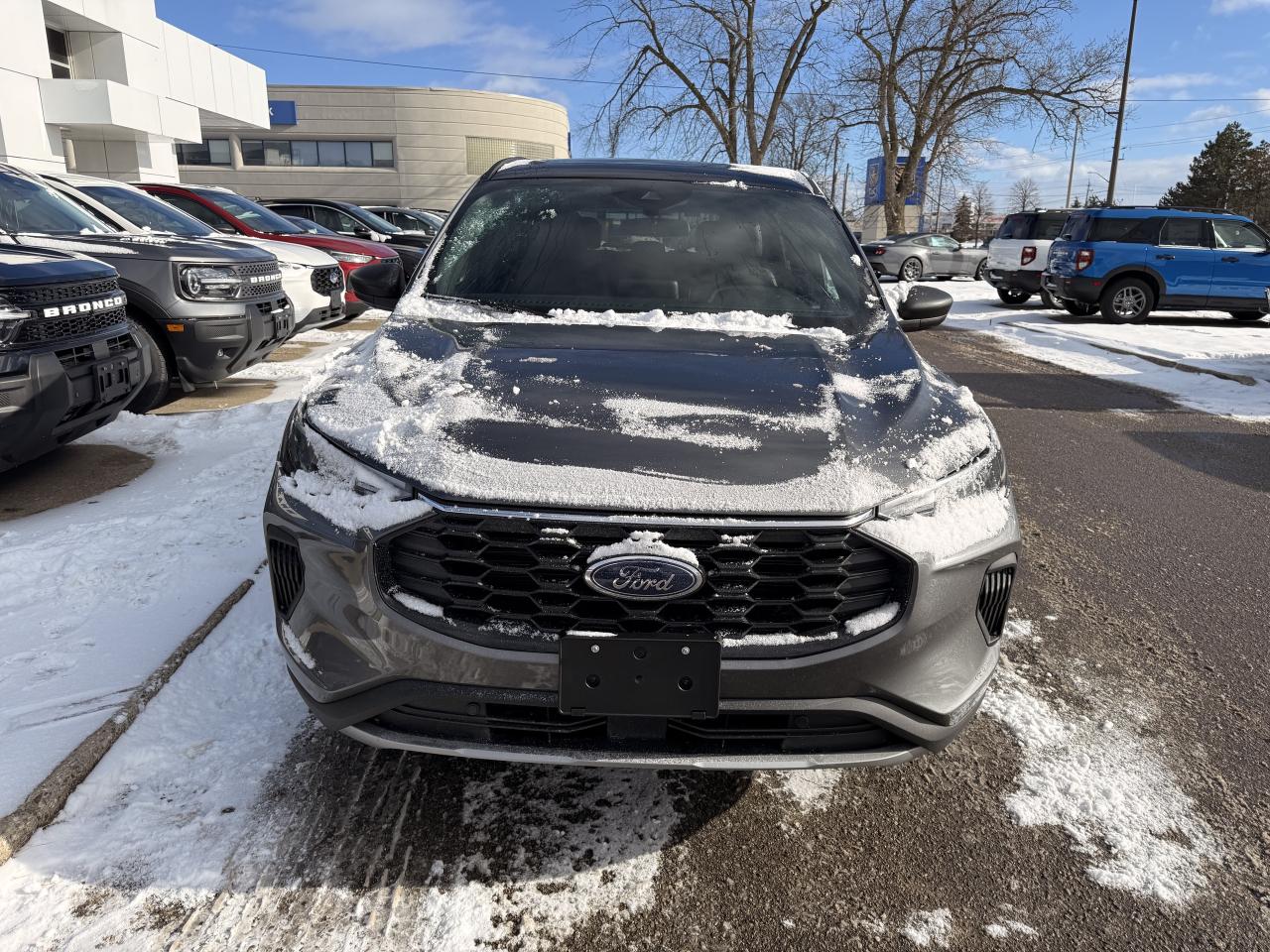 2026 Ford Escape ST-Line Photo