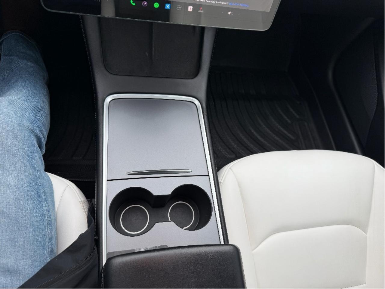 2021 Tesla Model 3 STANDARD RANGE PLUS Photo