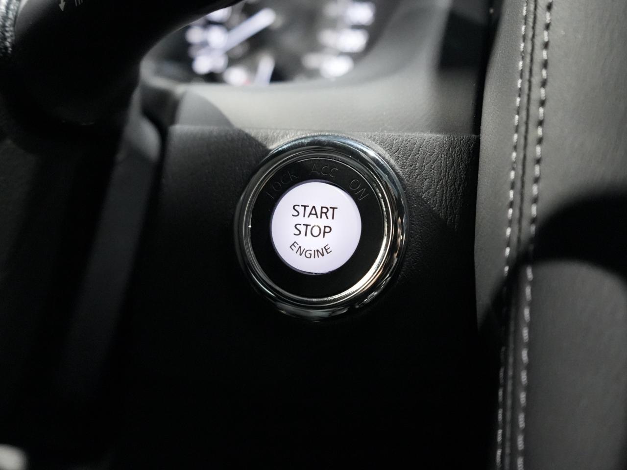 2024 Infiniti QX80 LUXE/7-PASS/ROOF/BOSE/360 CAM/DRIVE ASSIST/1OWNER Photo