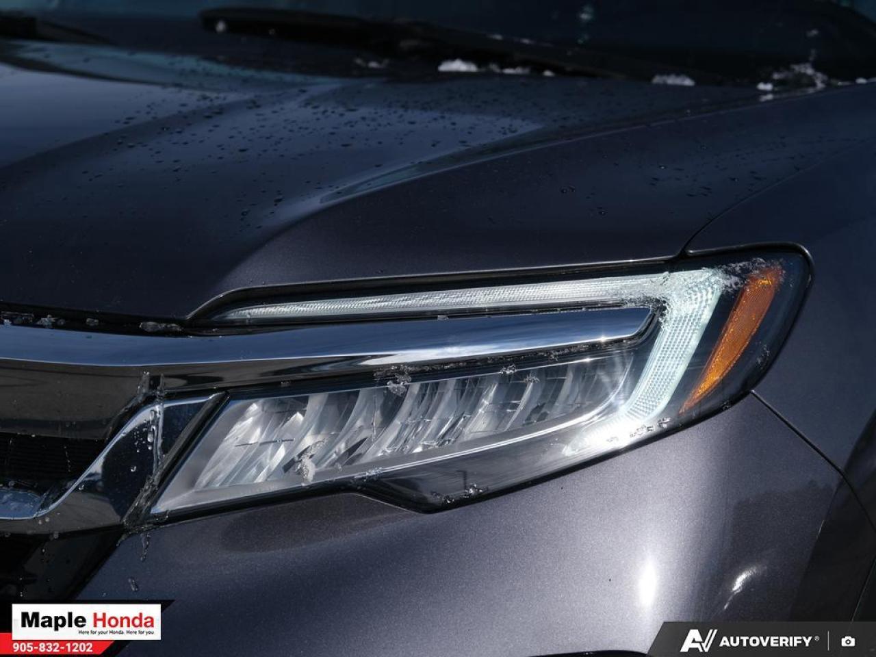 2021 Honda Pilot 7 Passenger| Navigation| Panoramic Roof| Heated Se Photo