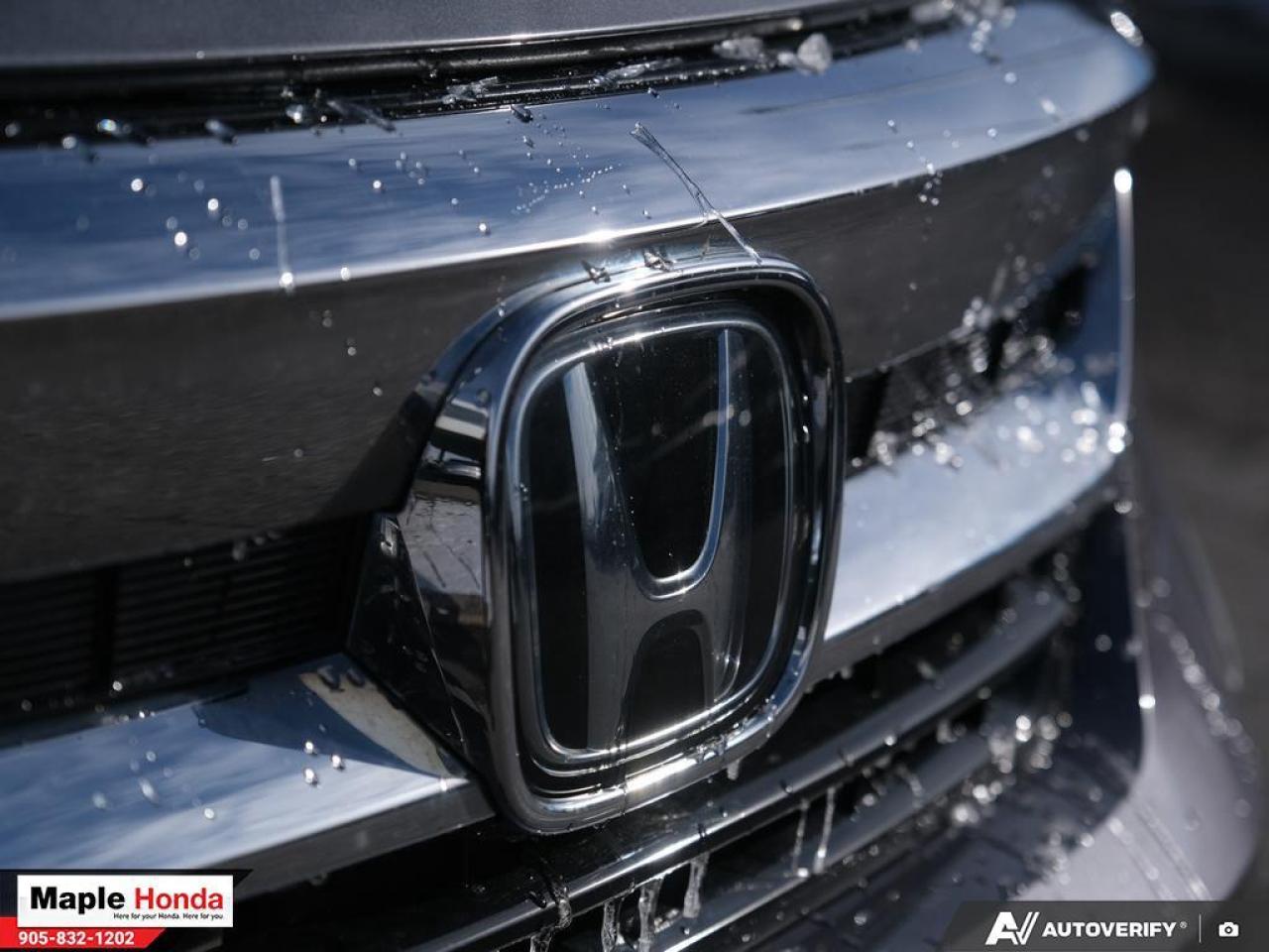 2021 Honda Pilot 7 Passenger| Navigation| Panoramic Roof| Heated Se Photo