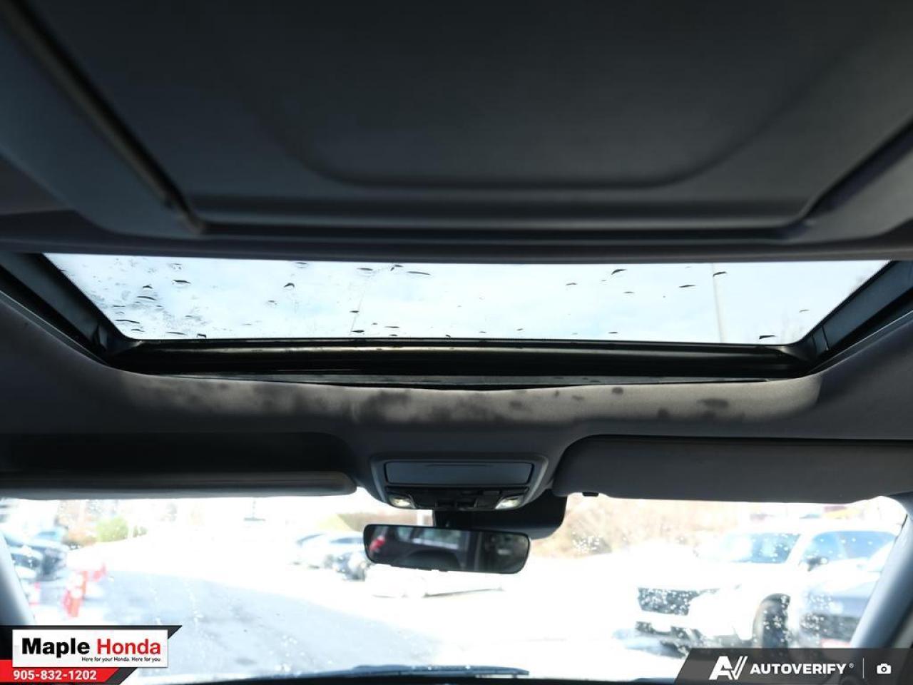 2021 Honda Pilot 7 Passenger| Navigation| Panoramic Roof| Heated Se Photo