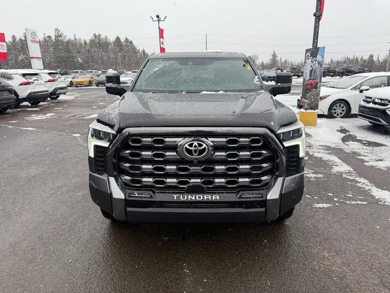 2025 Toyota Tundra Platinum Hybrid Photo