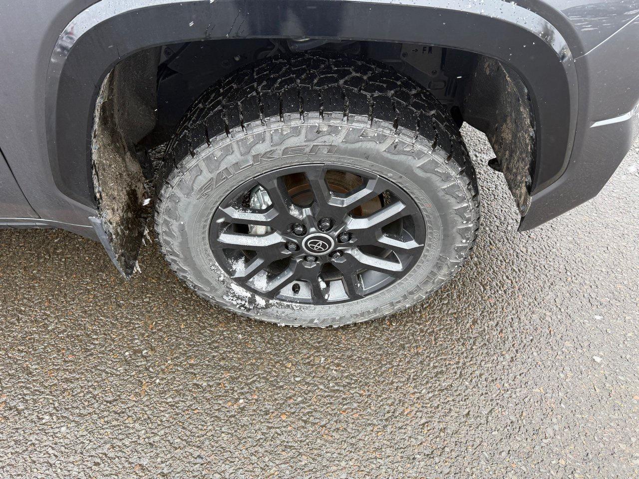 2025 Toyota Tundra Platinum Hybrid Photo