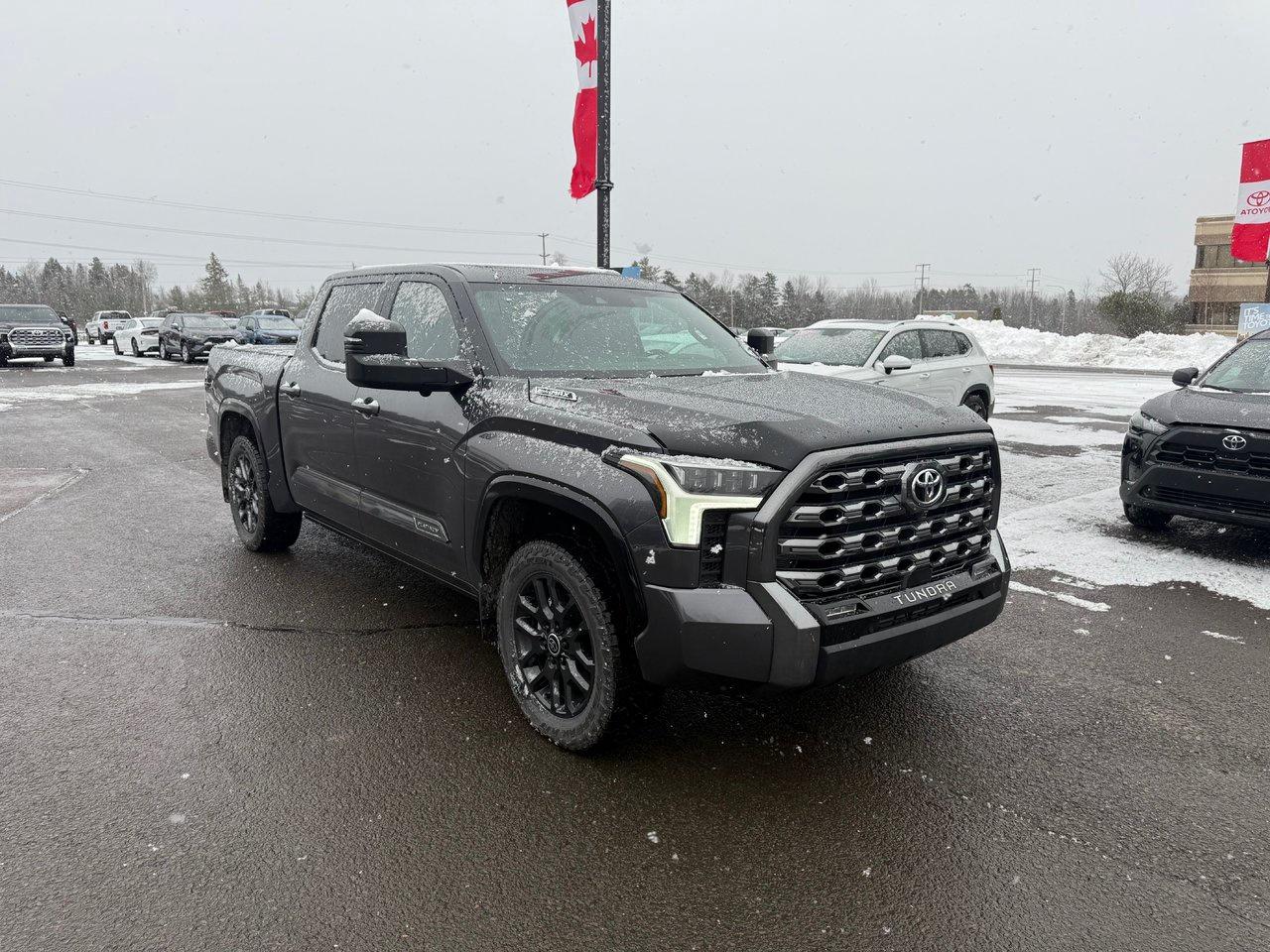 2025 Toyota Tundra Platinum Hybrid Photo