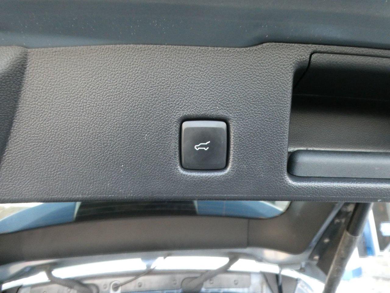 2023 Ford Escape Active Active Photo