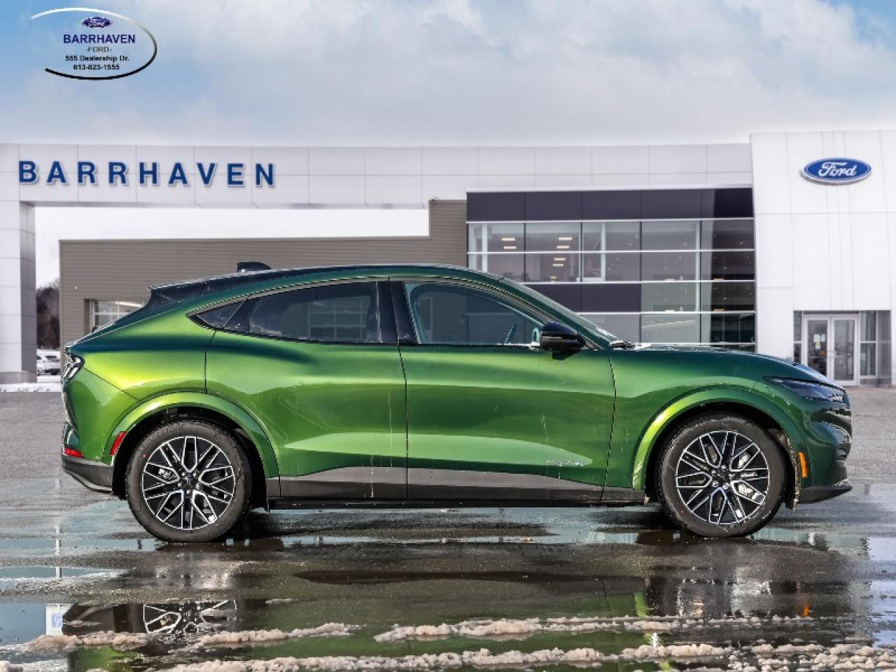 2025 Ford Mustang Mach-E Premium Photo