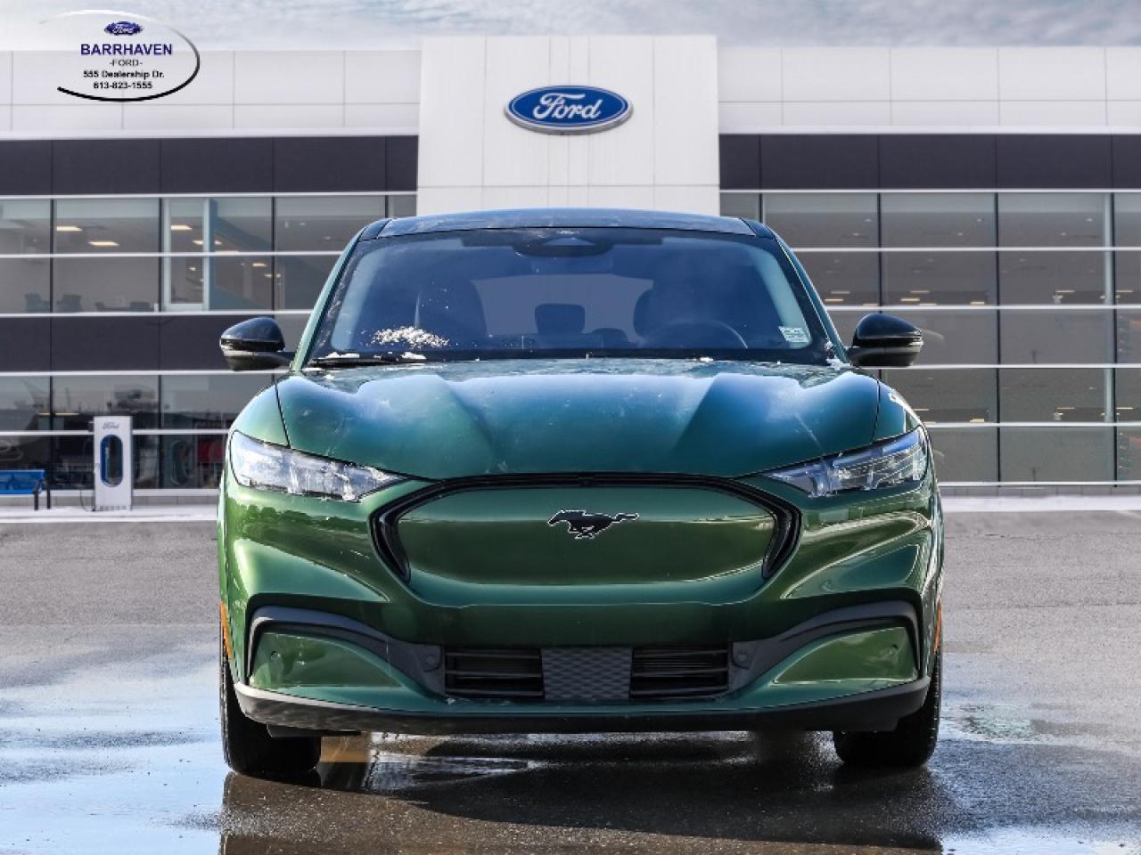 2025 Ford Mustang Mach-E Premium Photo