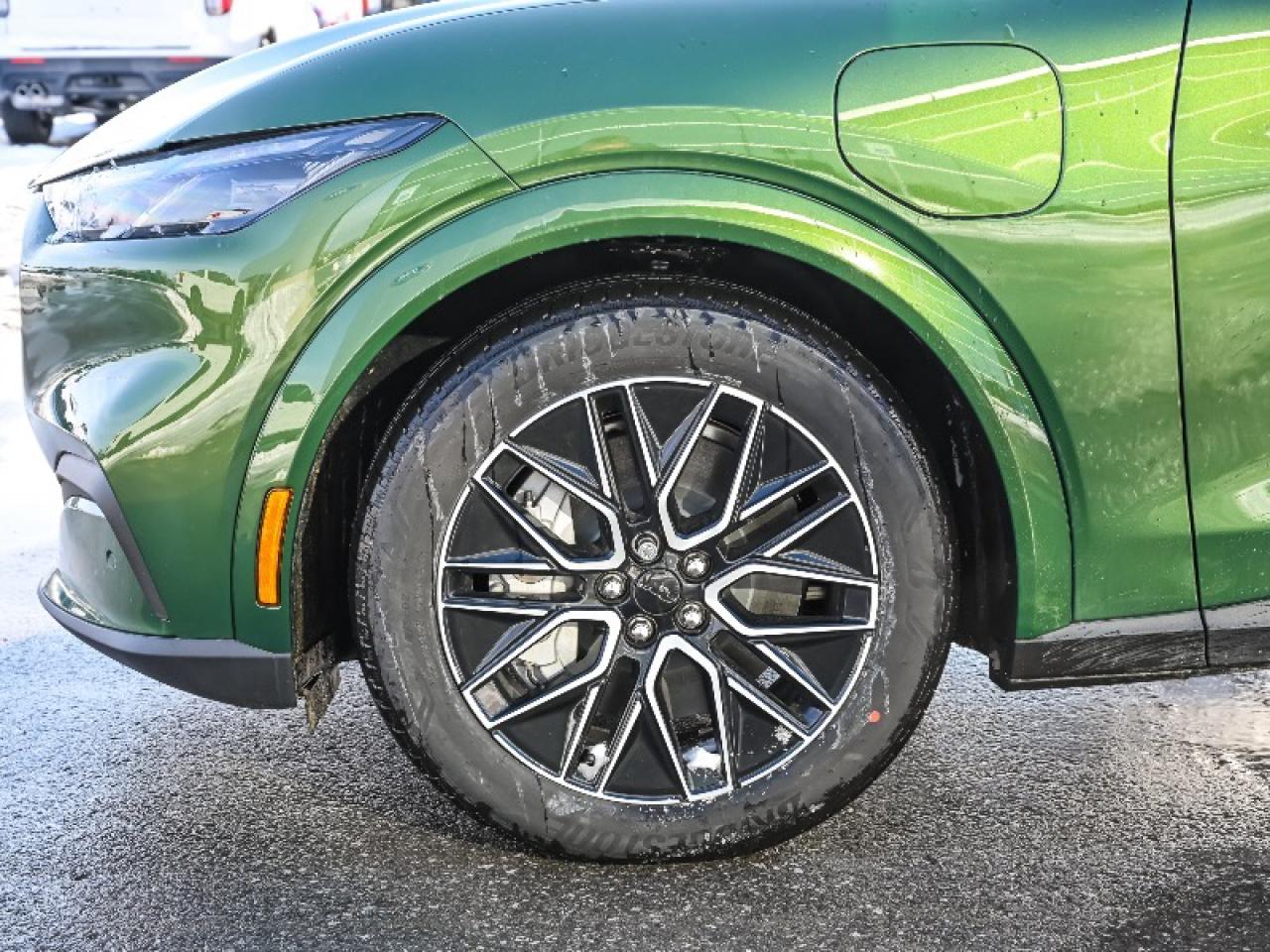 2025 Ford Mustang Mach-E Premium Photo