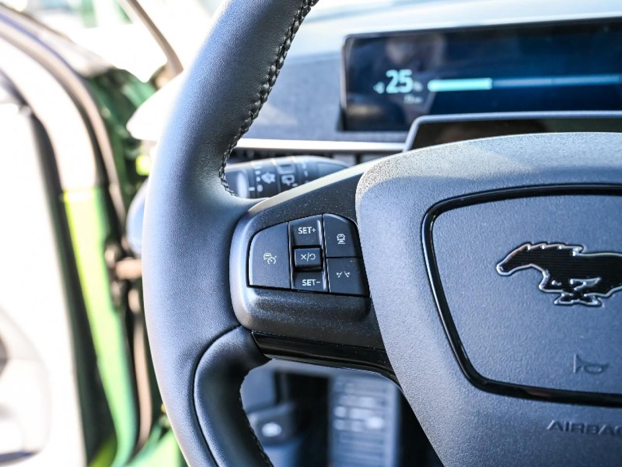 2025 Ford Mustang Mach-E Premium Photo