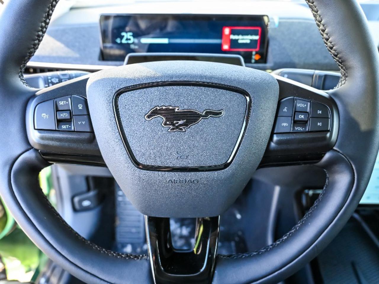 2025 Ford Mustang Mach-E Premium Photo