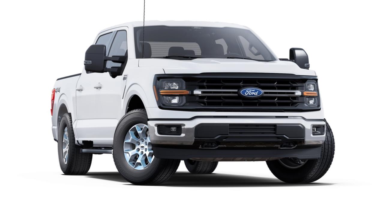 2025 Ford F-150 XLT Photo3