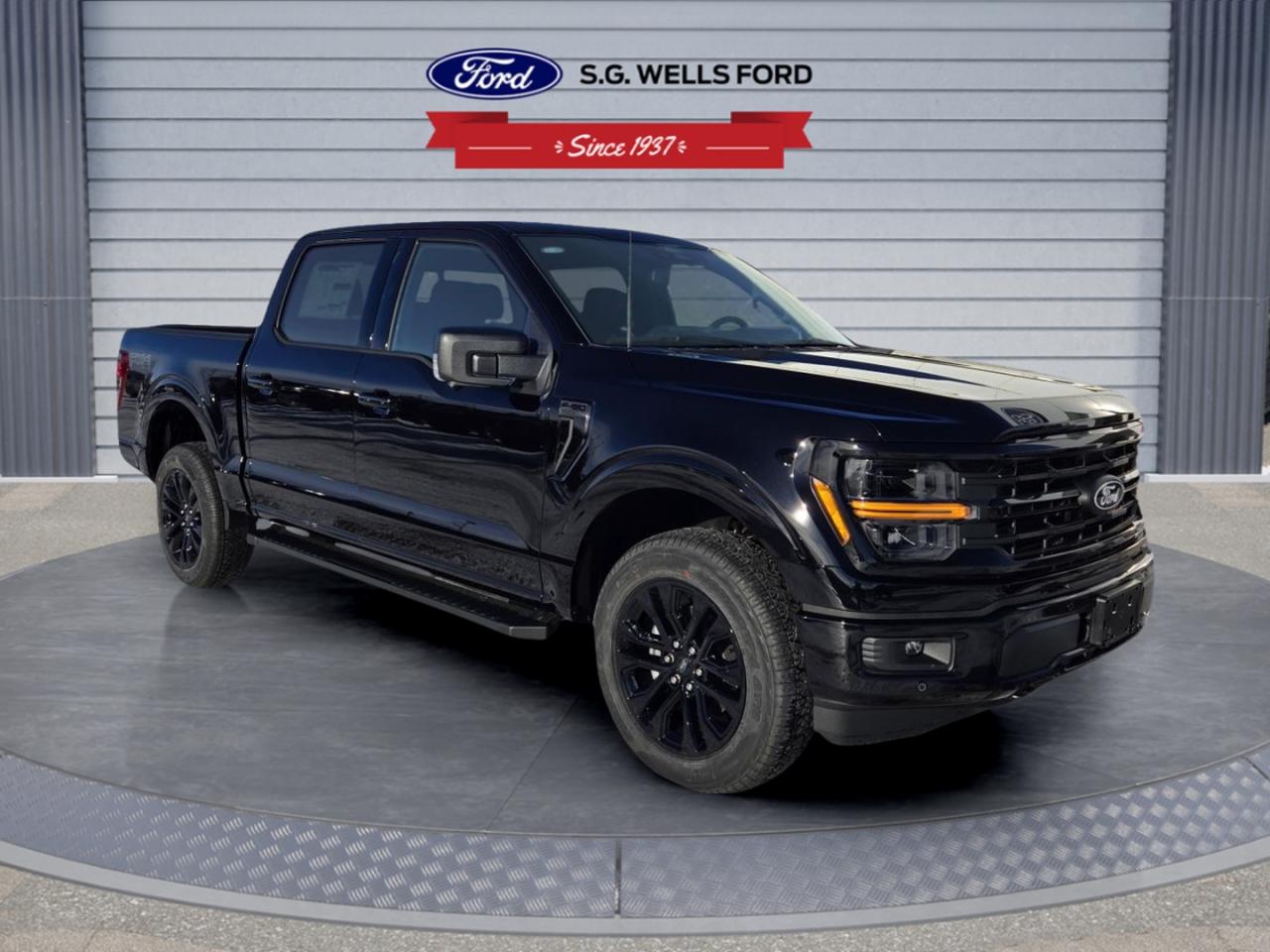 2025 Ford F-150 F150 XLT Photo