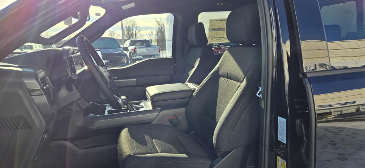 2025 Ford F-150 F150 XLT Photo