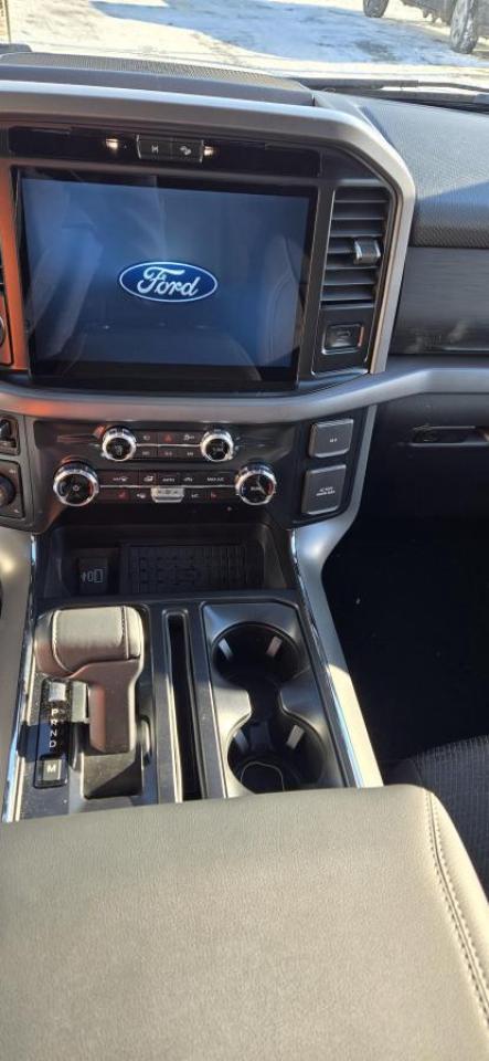 2025 Ford F-150 F150 XLT Photo