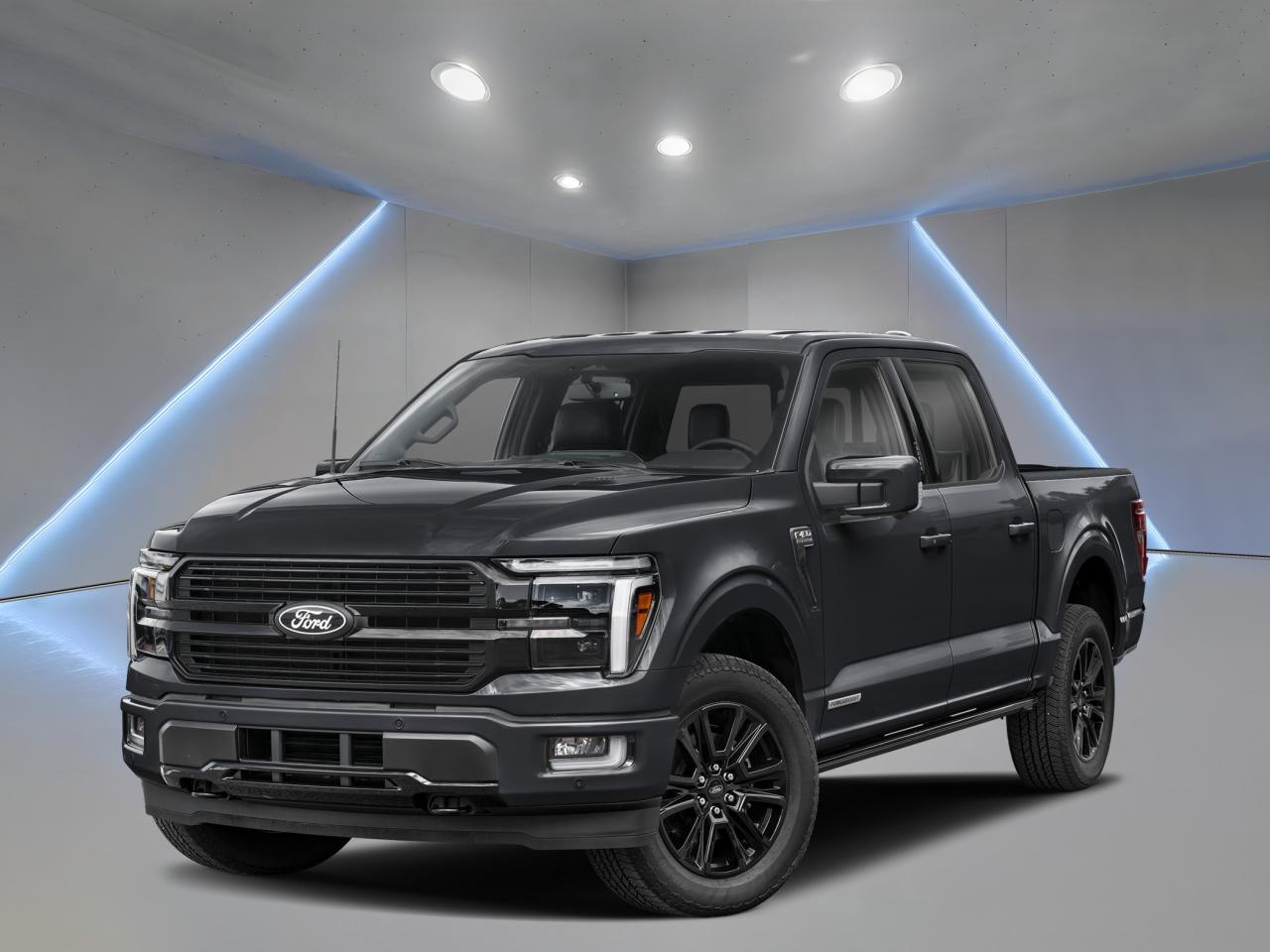 2025 Ford F-150 Platinum Photo0