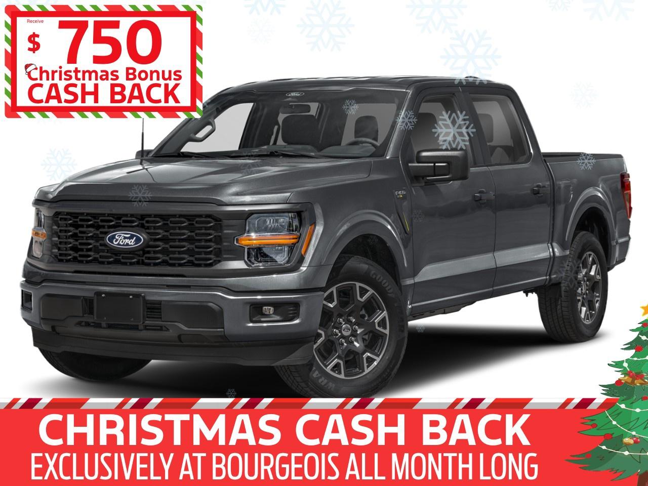 2025 Ford F-150 STX 4WD SuperCrew 5.5' Box Photo0